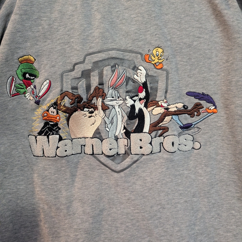 Warner Bros. Gray Graphic Sweatshirt